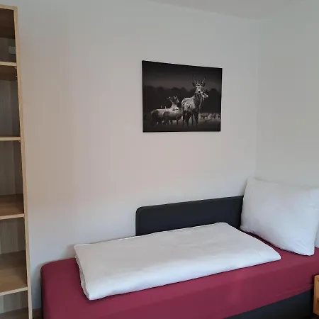 Apartment Grafenauer Sankt Gallenkirch Exterior photo